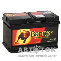 Banner Starting Bull 570 44 70R 640A