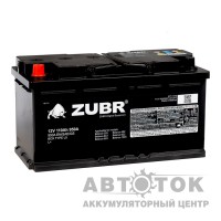 ZUBR МТЗ Belarus 110L 950A